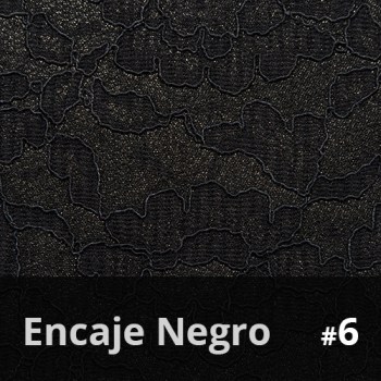 Encaje Negro 6